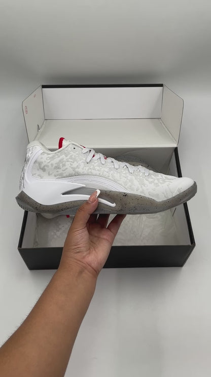 Jordan Zion 3